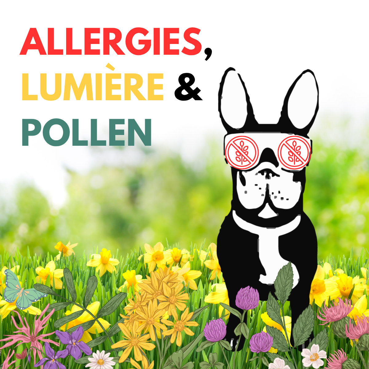 Optique Codet Opticien Avranches Cover Article Allergie